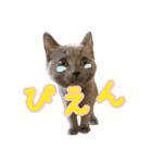だいすきごまちゃん！！（個別スタンプ：1）