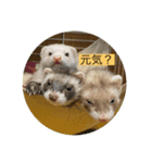 さくま001（個別スタンプ：2）