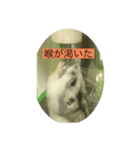 さくま001（個別スタンプ：6）
