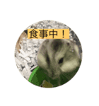 さくま001（個別スタンプ：8）