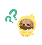 トイプードルのきなこちゃん♡（個別スタンプ：6）
