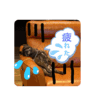 フレンチブルのBillくん3(修正済み)（個別スタンプ：8）