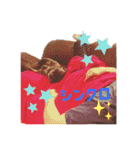 フレンチブルのBillくん3(修正済み)（個別スタンプ：11）