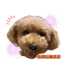 チョコちゃんのスタンプです！（個別スタンプ：6）
