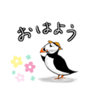 パフィン（個別スタンプ：8）