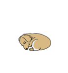 お暇な動物達のスタンプ2（個別スタンプ：28）