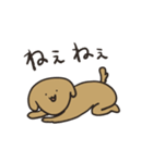 わんこのそば（個別スタンプ：6）
