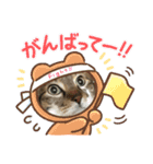 ゆうこの猫スタンプ キジ白（個別スタンプ：7）