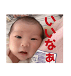 みーしゃん 新生児編 ver.2（個別スタンプ：12）