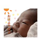 みーしゃん 新生児編 ver.2（個別スタンプ：16）