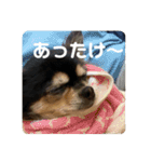 プーとヒマ（個別スタンプ：7）