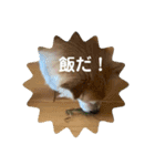プーとヒマ（個別スタンプ：8）