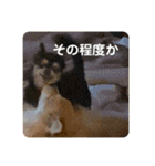 プーとヒマ（個別スタンプ：9）