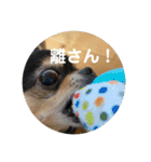 プーとヒマ（個別スタンプ：10）