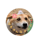 ろざんと愉快な仲間たち（個別スタンプ：1）