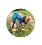 ろざんと愉快な仲間たち（個別スタンプ：2）
