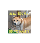 ろざんと愉快な仲間たち（個別スタンプ：3）