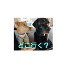 ろざんと愉快な仲間たち（個別スタンプ：5）