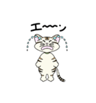 スナネコのSUUちゃんスタンプ（個別スタンプ：3）