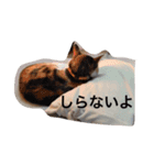 キャラメルpart1（個別スタンプ：3）