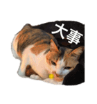 キャラメルpart1（個別スタンプ：8）