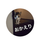 キャラメルpart1（個別スタンプ：9）