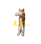 キャラメルpart1（個別スタンプ：15）