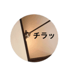 キャラメルpart1（個別スタンプ：16）