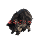 ぼくのかんがえたさいきょうのすたんぷぷぶ（個別スタンプ：30）