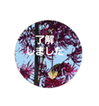 hanaごころ3a（個別スタンプ：7）