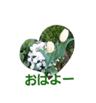 hanaごころ3a（個別スタンプ：11）
