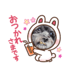 シープーのカイラ-1（個別スタンプ：2）