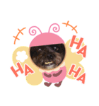 シープーのカイラ-1（個別スタンプ：7）