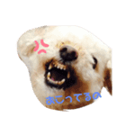 ぷうちゃん日和（個別スタンプ：3）