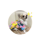 PAL①（個別スタンプ：4）