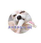 PAL①（個別スタンプ：15）