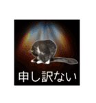 飼われ猫 ぐれお（1歳）（個別スタンプ：7）