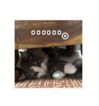 飼われ猫 ぐれお（1歳）（個別スタンプ：13）