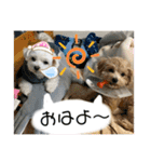 テンとルン（個別スタンプ：2）