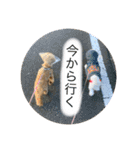 テンとルン（個別スタンプ：17）