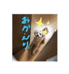 テンとルン（個別スタンプ：29）