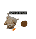 テンとルン（個別スタンプ：32）