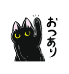 黒猫の日常なスタンプ（個別スタンプ：3）