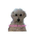 ぼくゴロー2（個別スタンプ：2）