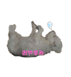 ぼくゴロー2（個別スタンプ：12）