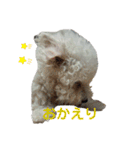 ぼくゴロー2（個別スタンプ：13）