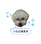 ぼくゴロー2（個別スタンプ：18）