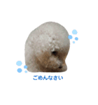 ぼくゴロー2（個別スタンプ：20）