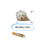 ぼくゴロー2（個別スタンプ：23）