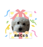 ぼくゴロー2（個別スタンプ：27）